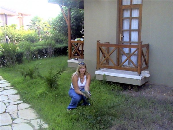 :  3a188790f1ee.jpg
: 1153

:  66.0 