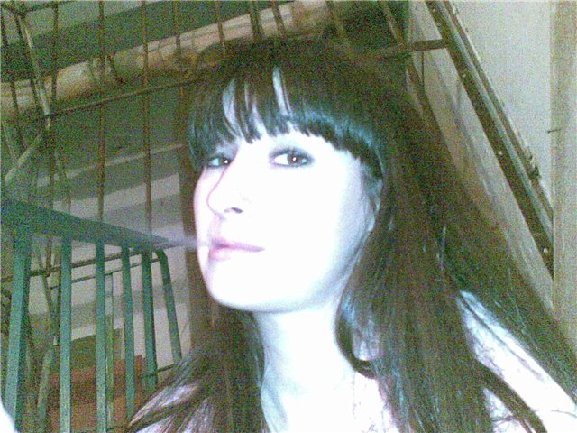 :  12536eef29b4.jpg
: 1309

:  90.0 