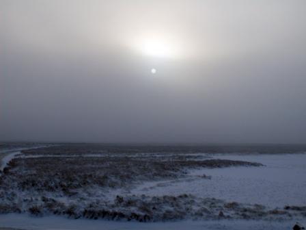 :  SDC10087.JPG
: 1212

:  15.3 