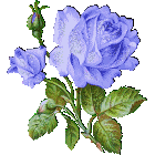 :  51ed7b6f1830ba1e95566366e0e51514.gif
: 114

:  14.4 