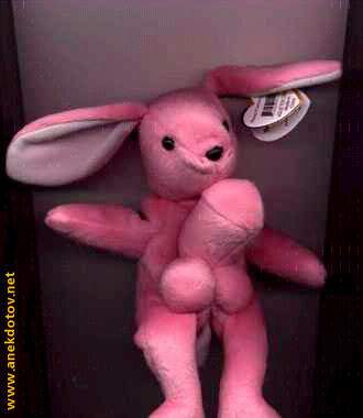 :  your_bunny_wrote.jpg
: 553

:  10.9 