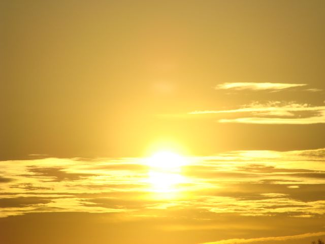 :  DSC04569.JPG
: 1521

:  34.8 