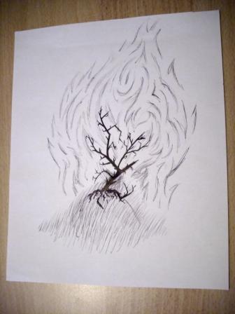:  IMG_1094.JPG
: 691

:  29.2 