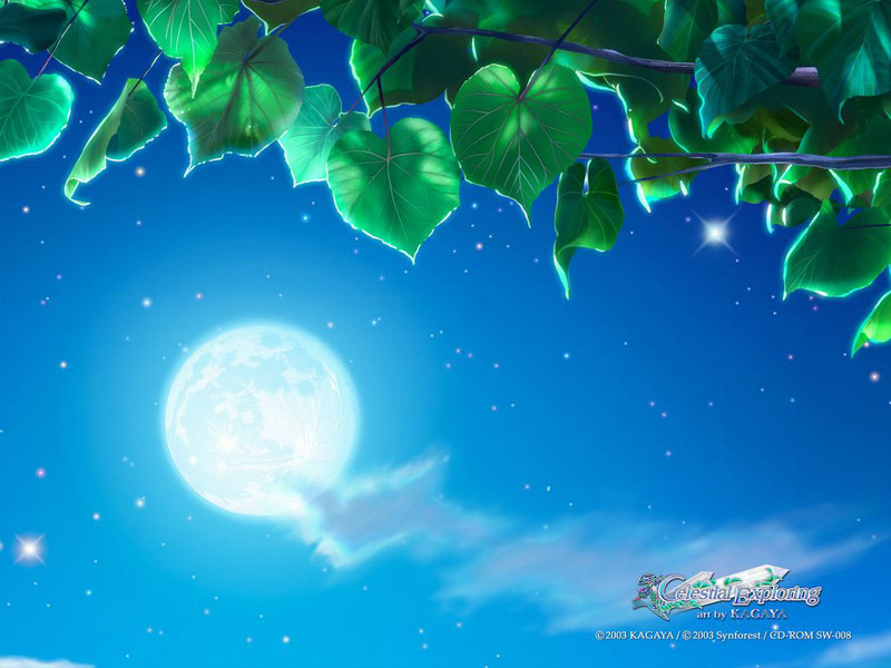 :  kagaya_060.jpg
: 1030

:  104.7 