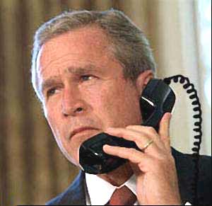 :  bush.jpg
: 425

:  11.0 
