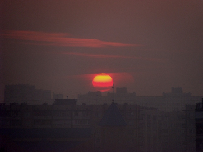 :  DSC06082.JPG
: 1286

:  80.2 