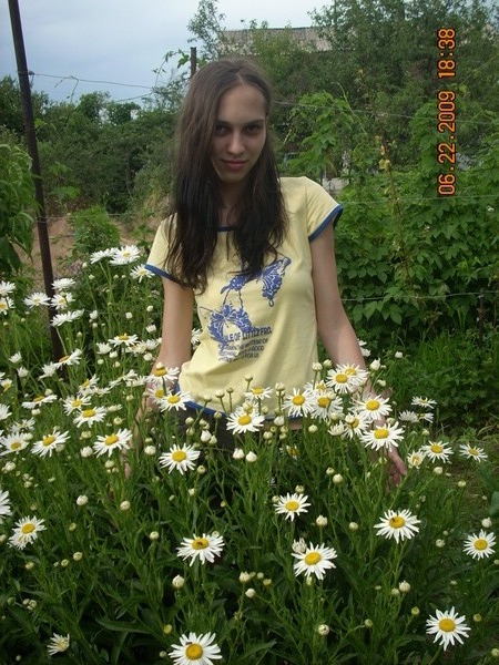 :  DSCN0911.JPG
: 5469

:  126.5 