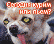 :  .gif
: 505

:  9.0 