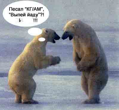 :  04_animals_43986.jpg
: 2355

:  27.8 