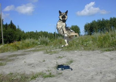 ��������:  23.jpg
����������: 208

������:  26.6 �����