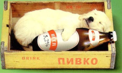 ��������:  16.jpg
����������: 72

������:  25.2 �����