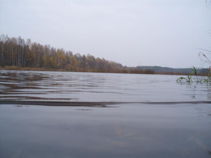 :  amur22.JPG
: 1153

:  35.2 