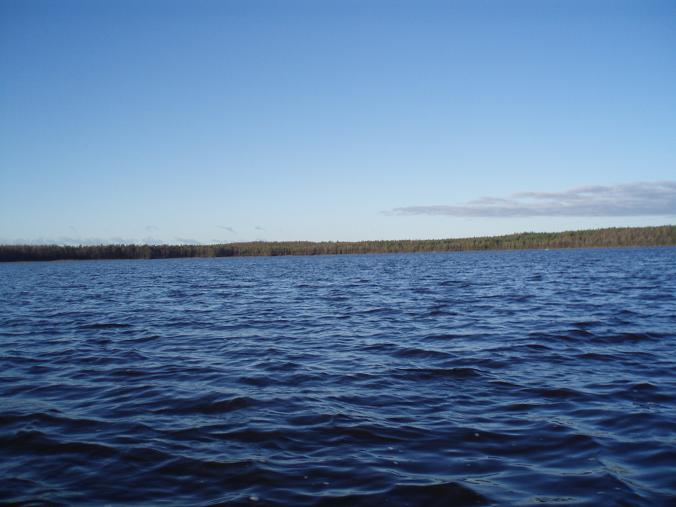 :  K1.JPG
: 1308

:  54.1 