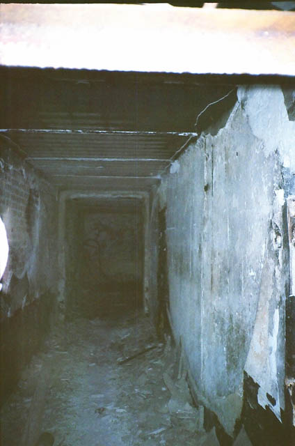 :  lab.jpg
: 533

:  56.1 