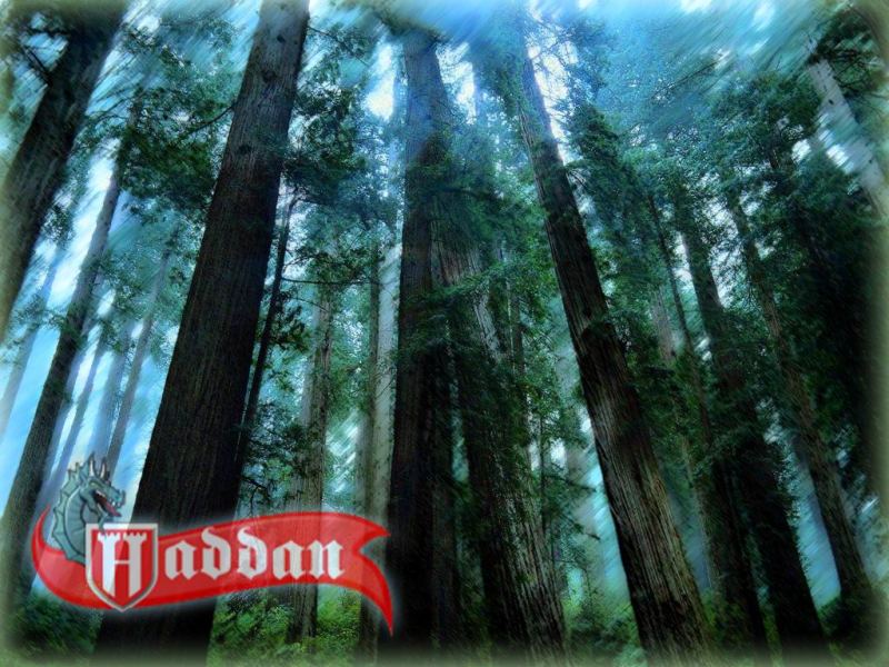 :  Haddan_5.jpg
: 571

:  109.0 