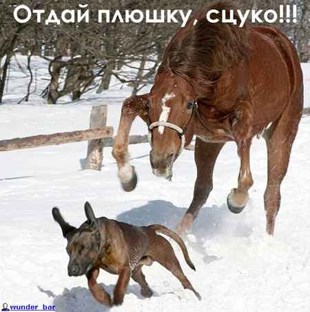 :  picture_001.jpg
: 929

:  23.5 