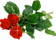 :  307cebbb9653074505317e6266c8871d.gif
: 150

:  16.1 