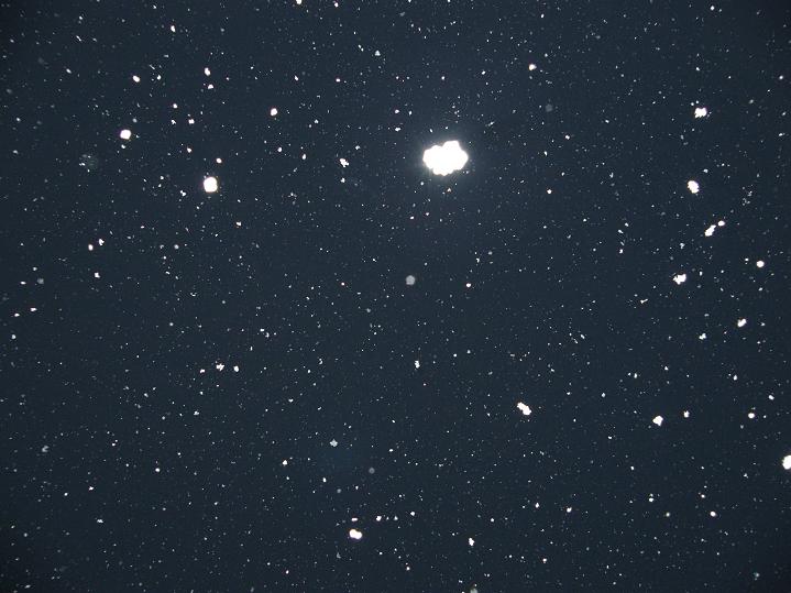 :  f4.JPG
: 1042

:  64.7 