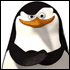 :  .gif
: 444

:  4.4 