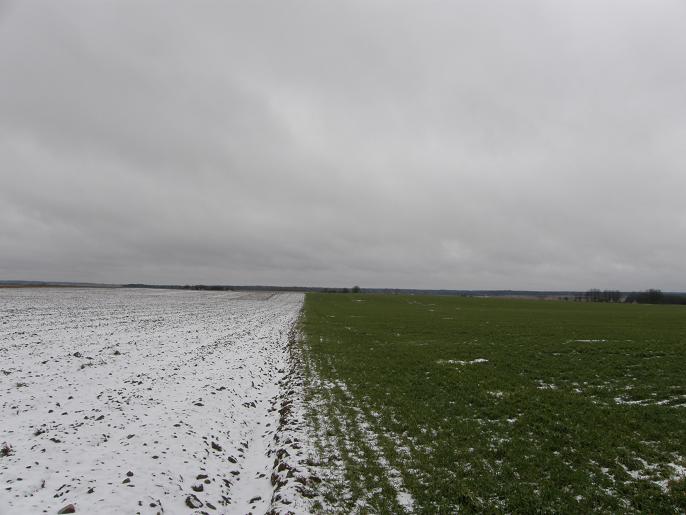 :  p1.JPG
: 1006

:  53.2 