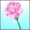 :  17c9f936f30256cf620b7f37a197d8fb.jpg
: 247

:  3.8 