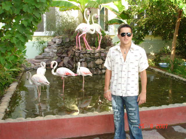 :  DSC01011.JPG
: 1282

:  57.7 