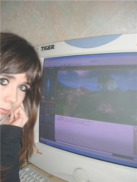:  319c70475e3d.jpg
: 1513

:  44.0 